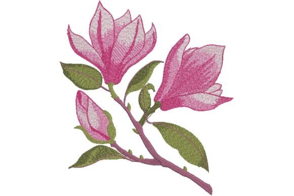 Small Branch Pink Magnolia Review